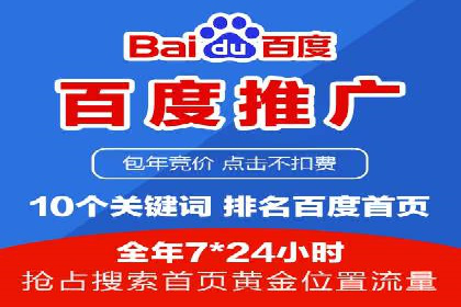 竞价排名的投放策略与效果评估案例